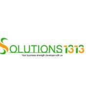 Solutions1313