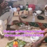 Chief Dr Ifagbamila Awogbemi