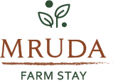 Mruda